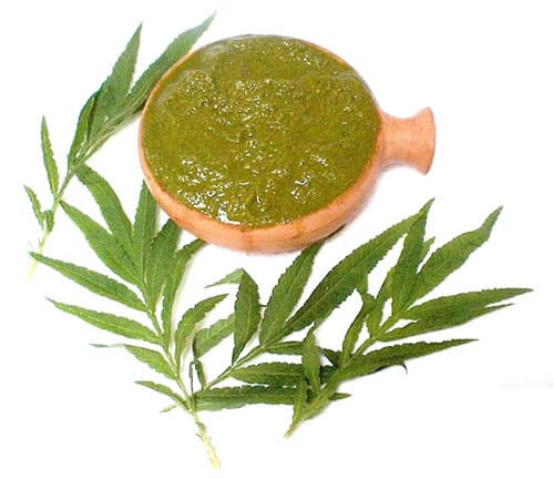 crema_de_huacatay_2